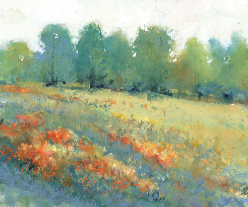 Rural Land I Poster Print - Tim OToole