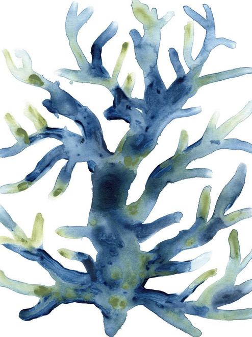 Liquid Coral III Poster Print - June Erica Vess