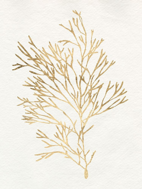 Gilded Algae VII Poster Print - Jennifer Goldberger