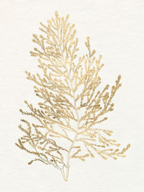 Gilded Algae IV Poster Print - Jennifer Goldberger