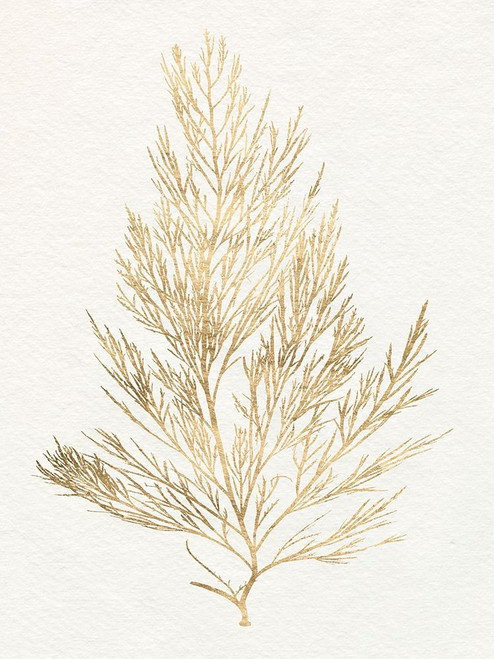 Gilded Algae V Poster Print - Jennifer Goldberger