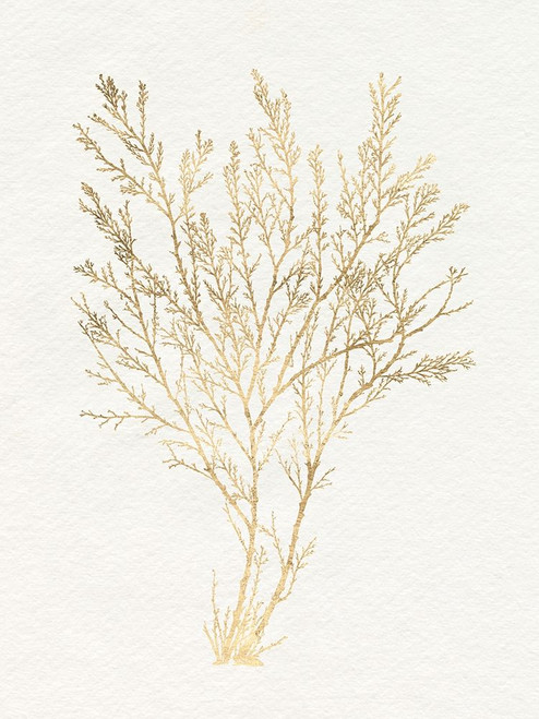 Gilded Algae I Poster Print - Jennifer Goldberger