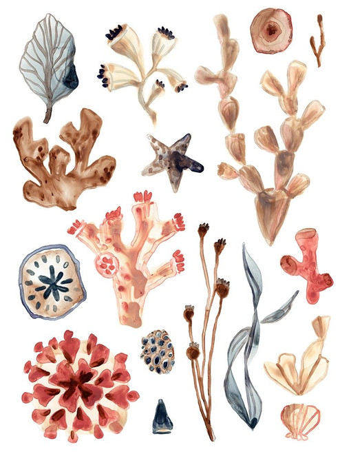 Ocean Assortment II Poster Print - June Erica Vess