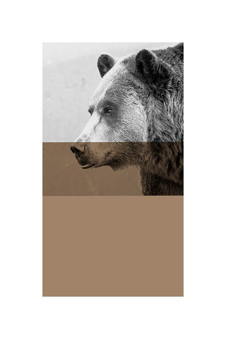 Geo Bear Poster Print - Sisa Jasper