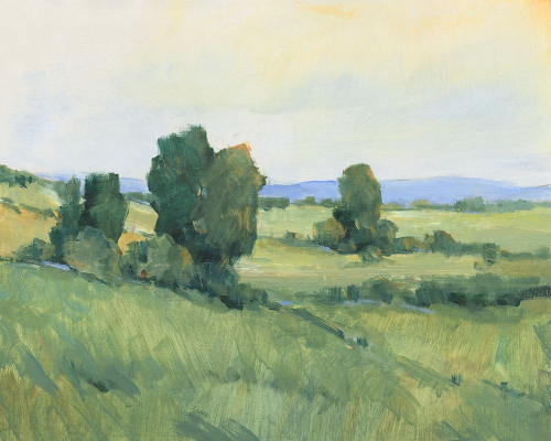 Rolling Green Hills II Poster Print - Tim OToole