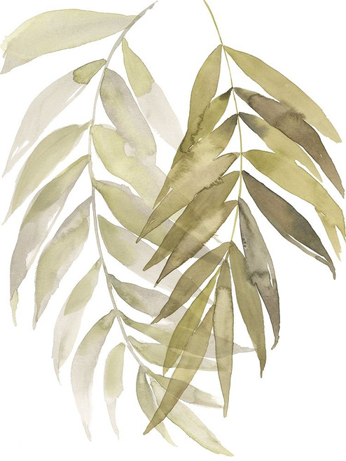 Palm Embrace I Poster Print - Jennifer Goldberger