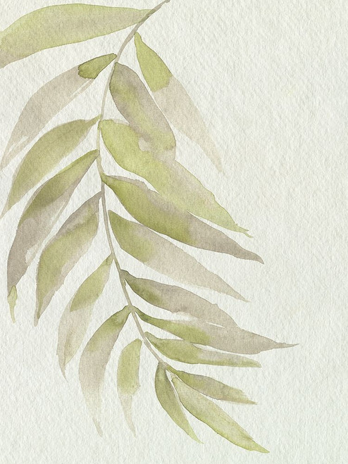 Whispering Palm II Poster Print - Jennifer Goldberger