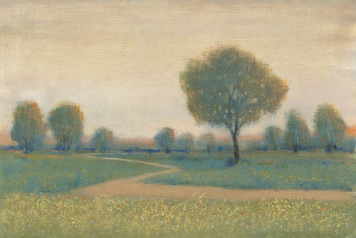 Path at Sunset II Poster Print - Tim OToole