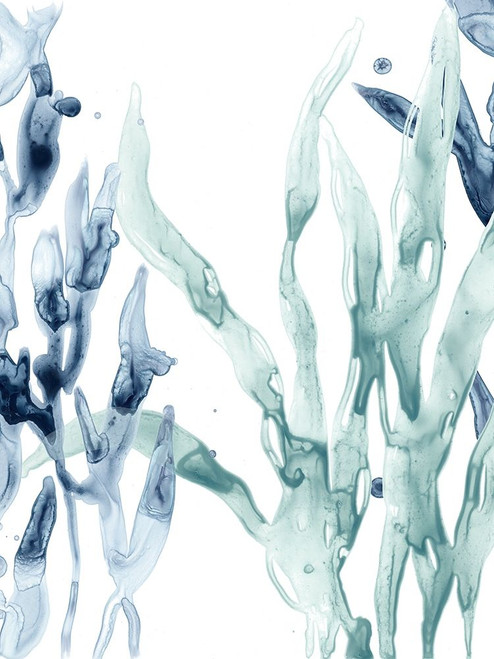 Blue Kelp II Poster Print - June Erica Vess