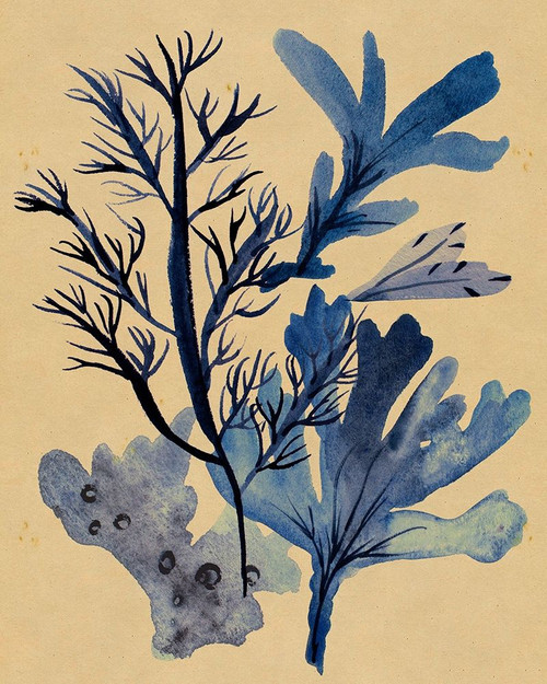 Underwater Forest I Poster Print - Melissa Wang