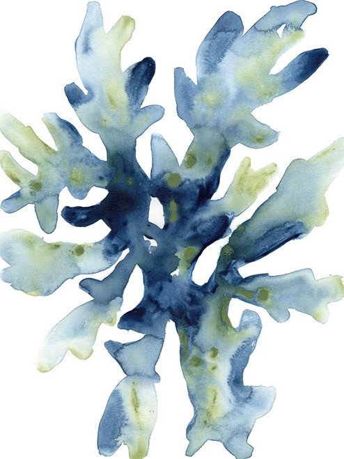 Liquid Coral IV Poster Print - June Erica Vess