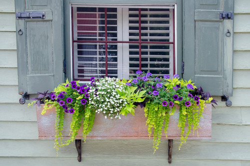 Pastel Windows IV Poster Print - Laura DeNardo