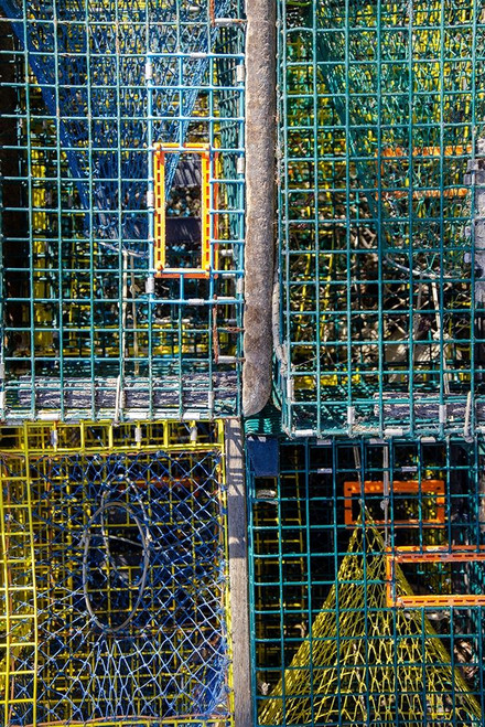 Coastal Trappings V Poster Print - Laura DeNardo