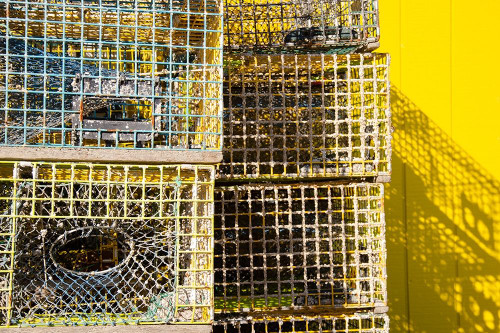 Coastal Trappings IV Poster Print - Laura DeNardo