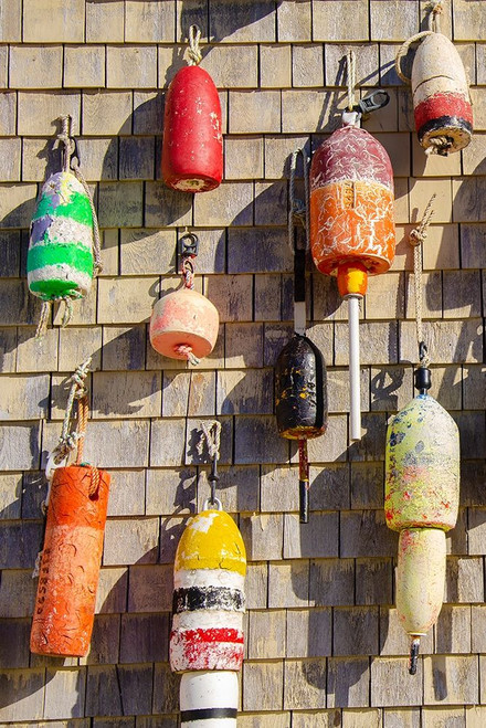 Coastal Trappings I Poster Print - Laura DeNardo