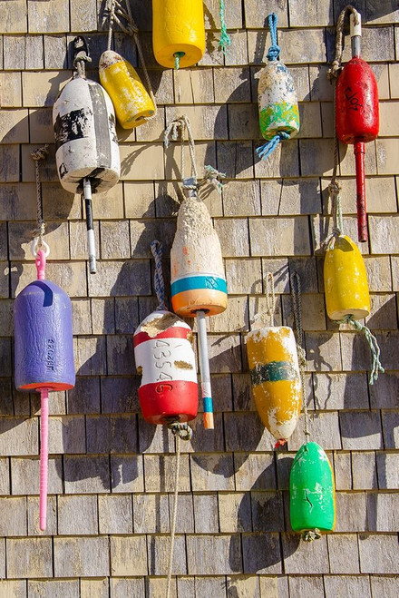 Coastal Trappings II Poster Print - Laura DeNardo