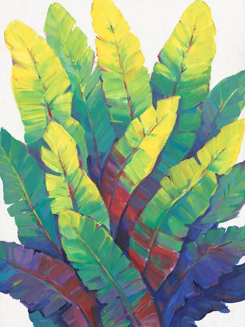 Sunlit Banana Leaves I Poster Print - Tim OToole
