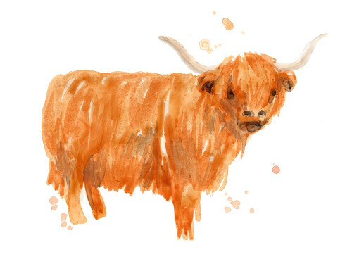 Highland Squad I Poster Print - June Erica Vess