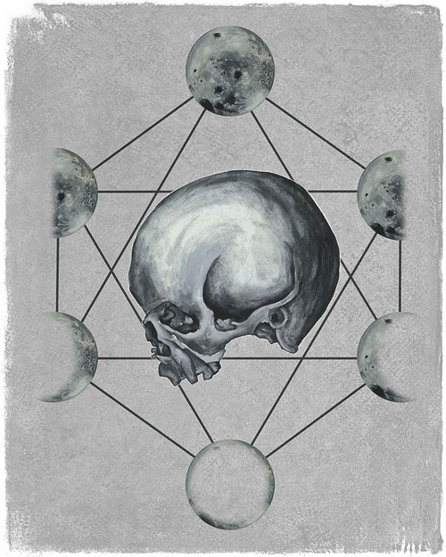 Moon Phases II Poster Print - Melissa Wang