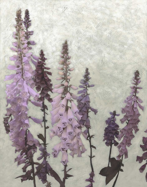 Non-Embellished Foxgloves II Poster Print - Chariklia Zarris
