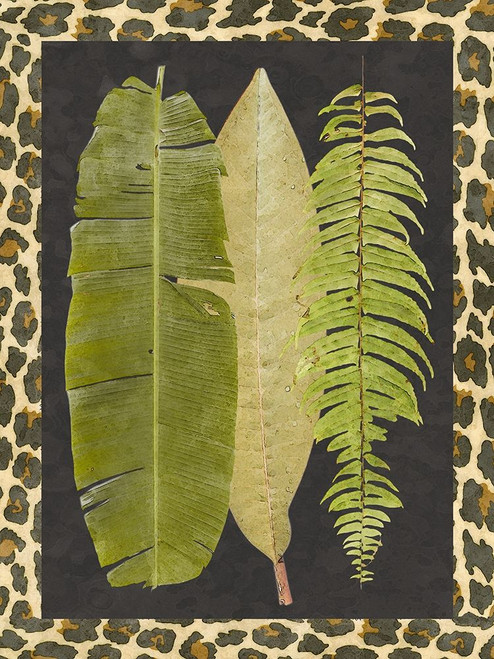 Tropic Collection VI Poster Print - Alonzo Saunders