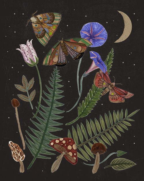 Dark Forest IV Poster Print - Melissa Wang