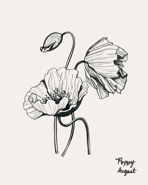 Annual Flowers VIII Poster Print - Grace Popp