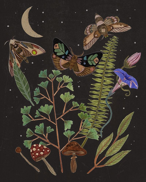 Dark Forest I Poster Print - Melissa Wang