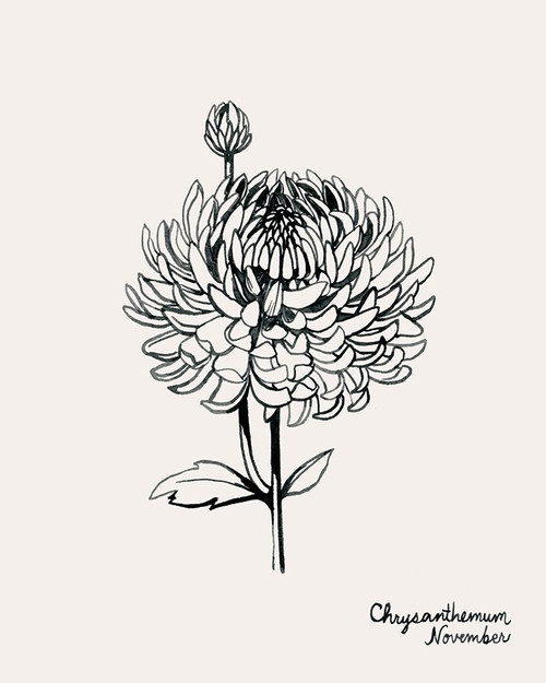 Annual Flowers XI Poster Print - Grace Popp