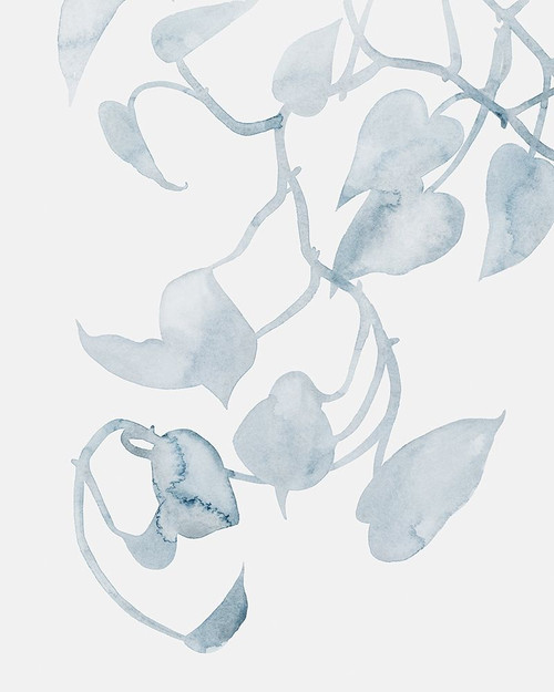 Pothos Penumbra II Poster Print - Grace Popp