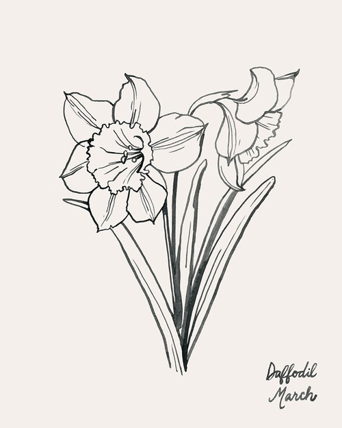 Annual Flowers III Poster Print - Grace Popp