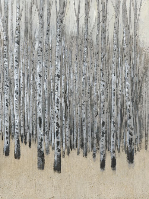 Custom Neutral Aspen I Poster Print - Tim OToole