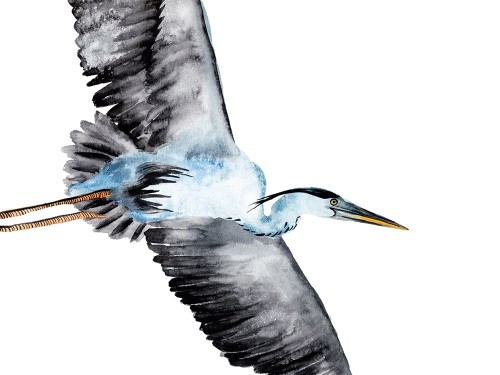 From the Sky III Poster Print - Melissa Wang