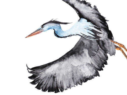 From the Sky IV Poster Print - Melissa Wang