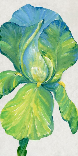 Iris Bloom in Green II Poster Print - Tim OToole