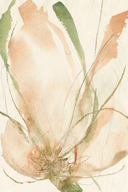 Petal Sketches II Poster Print - Jennifer Goldberger