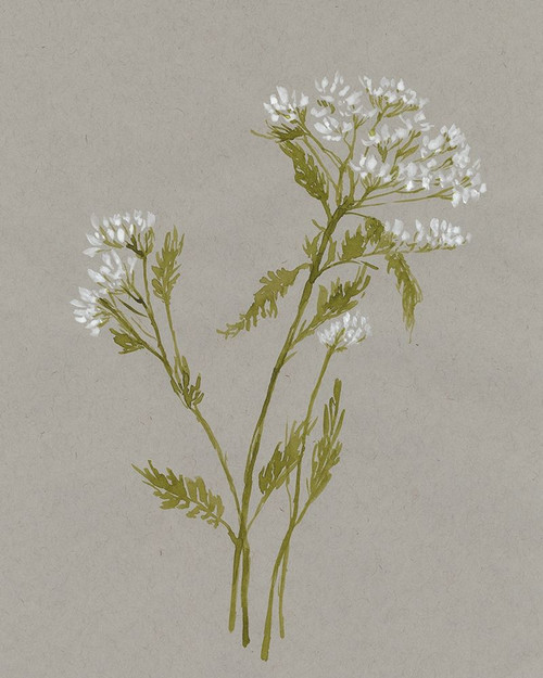 White Field Flowers III Poster Print - Jennifer Goldberger