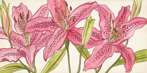 Pink Lilies I Poster Print - Melissa Wang