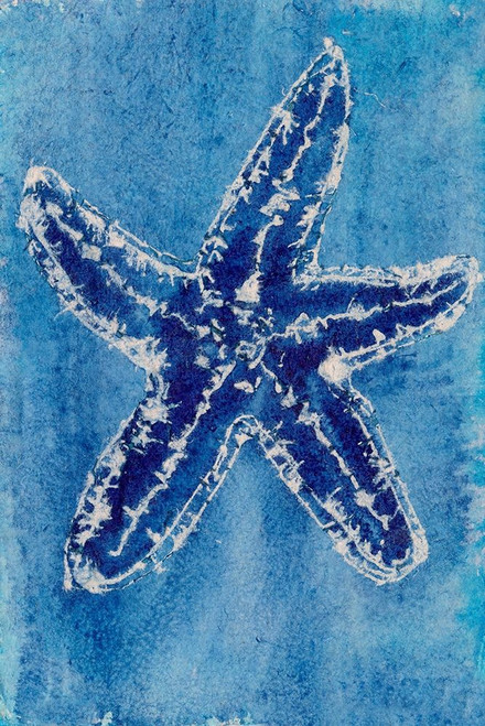 Cerulean Shells III Poster Print - Regina Moore