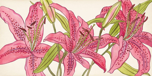 Pink Lilies II Poster Print - Melissa Wang