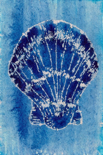 Cerulean Shells VI Poster Print - Regina Moore