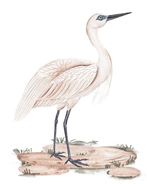 A White Heron II Poster Print - Melissa Wang