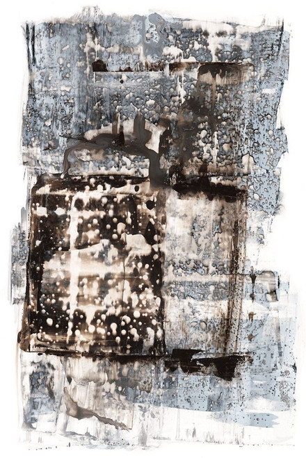 Speckled Remnants I Poster Print - Renee W. Stramel