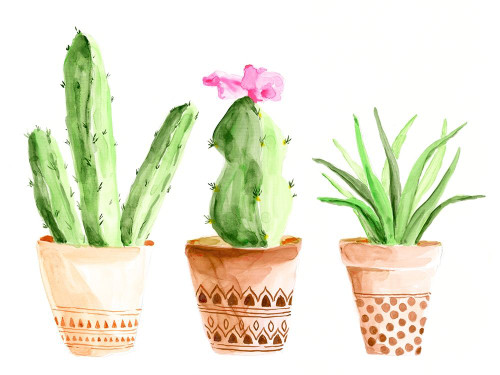 Patterned Pots II Poster Print - Regina Moore