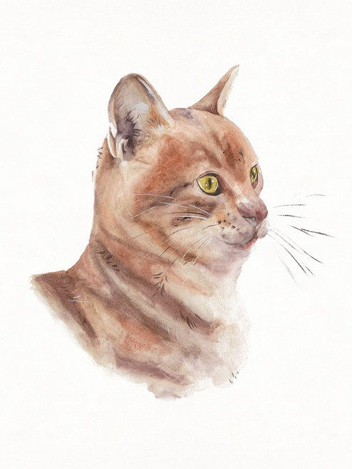 Orange Cat I Poster Print - Melissa Wang