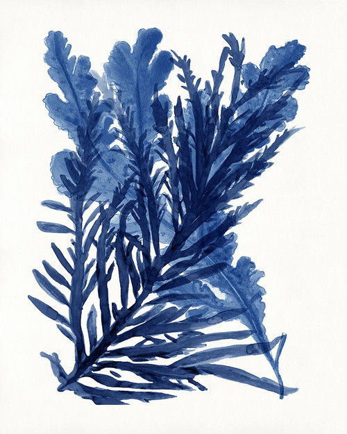 Indigo Ocean III Poster Print - Design Studio Stellar