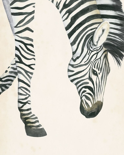 At Your Feet III Poster Print - Grace Popp