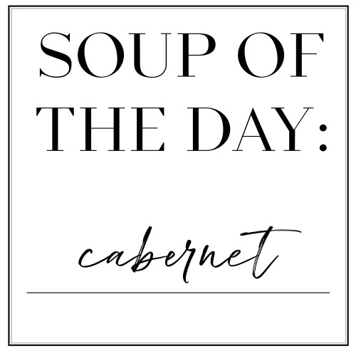 Soup du Jour IV Poster Print - Anna Hambly