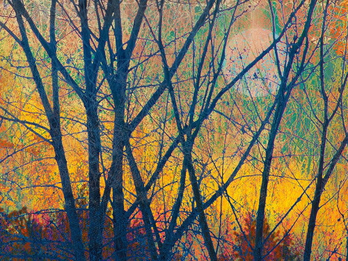 Meadow Trees I Poster Print - Chris Vest