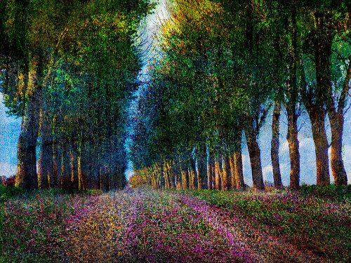 Row of Trees Provence Poster Print - Chris Vest